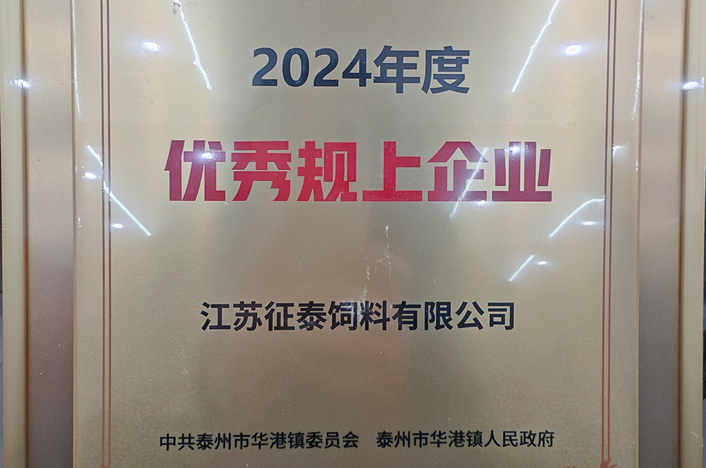 2024年度優(yōu)秀規(guī)上企業(yè)